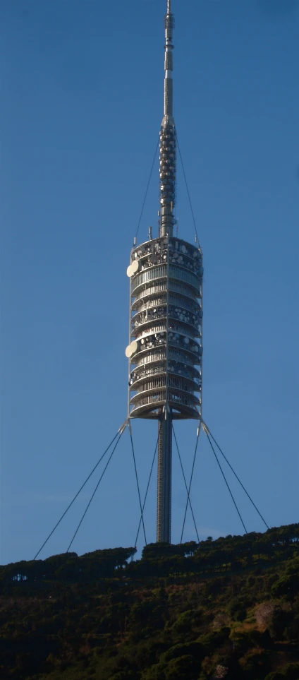 the top of a building with very tall trees on top