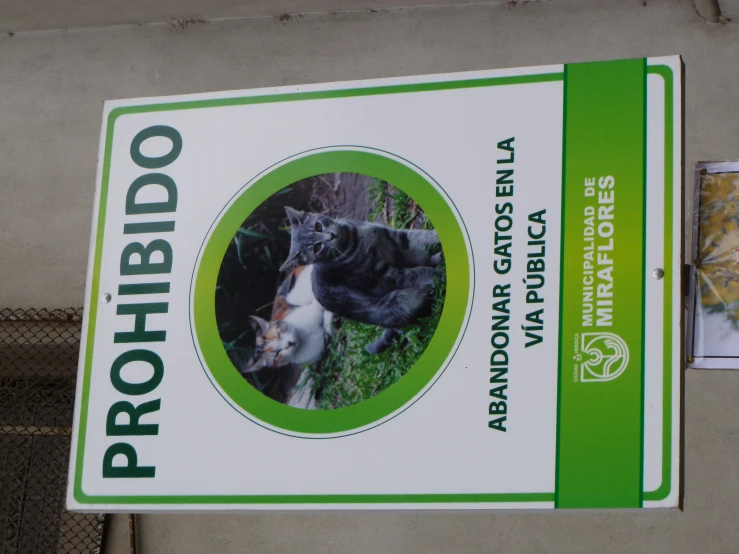 a green sign saying, prohibiao abandon gatos en la via public
