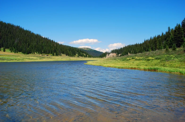 a beautiful mountain lake in the foreground, with green grass and trees