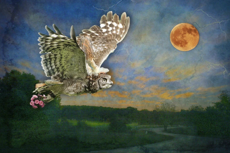 an owl landing on the ground next to a painting