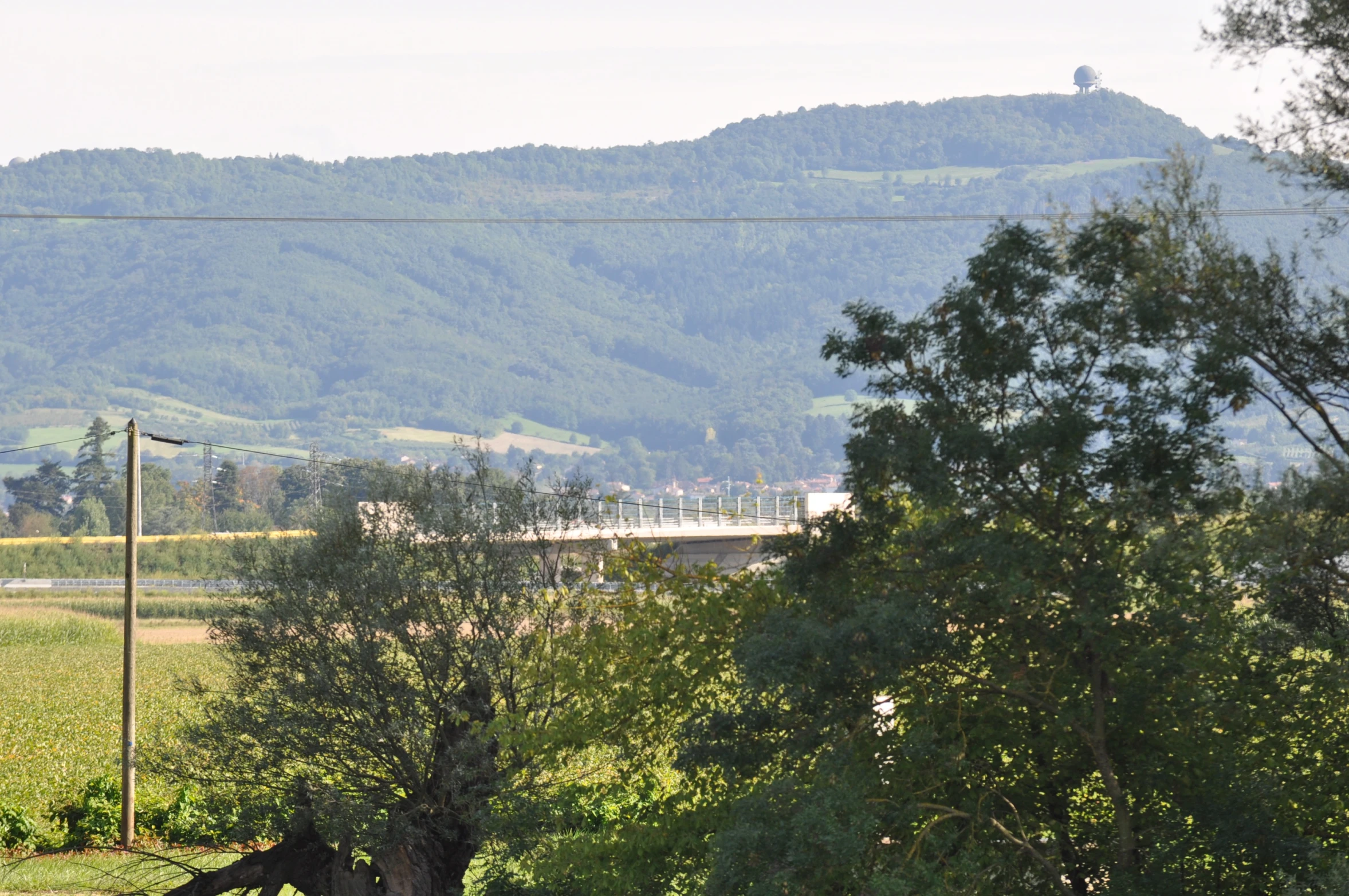 trees and mountains in front of a fence