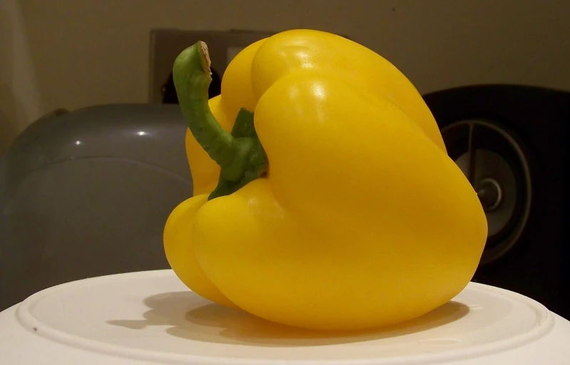 the fresh yellow pepper is being held in one end of it's pod