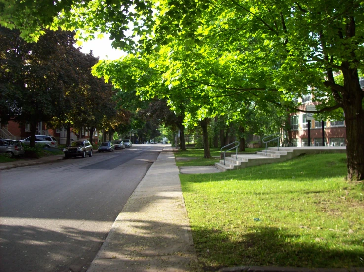 a street with stairs on it and trees