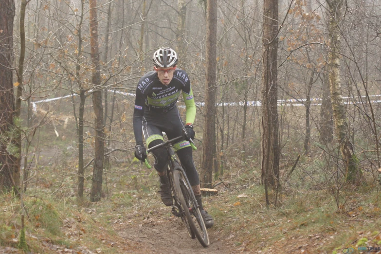 a bicyclist riding in a forest surrounded by trees