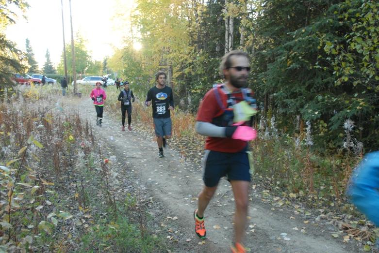 runners run along a forest trail through the woods