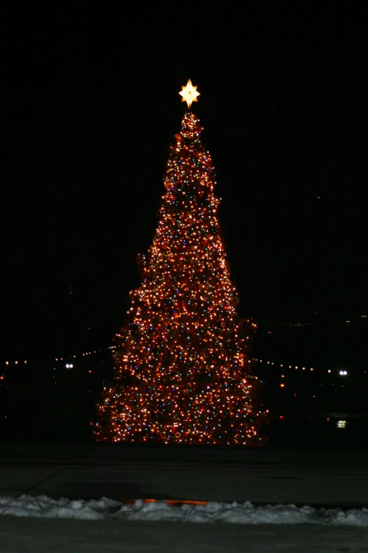 a very big christmas tree with lots of lights on it