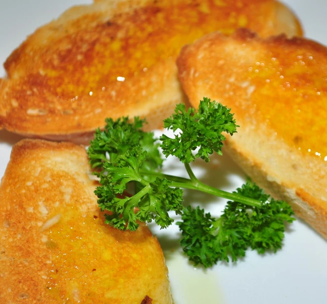 toasted bread and green coriance on a white plate