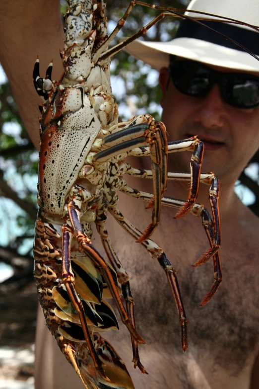 a man wearing sunglasses holds up a dead crab