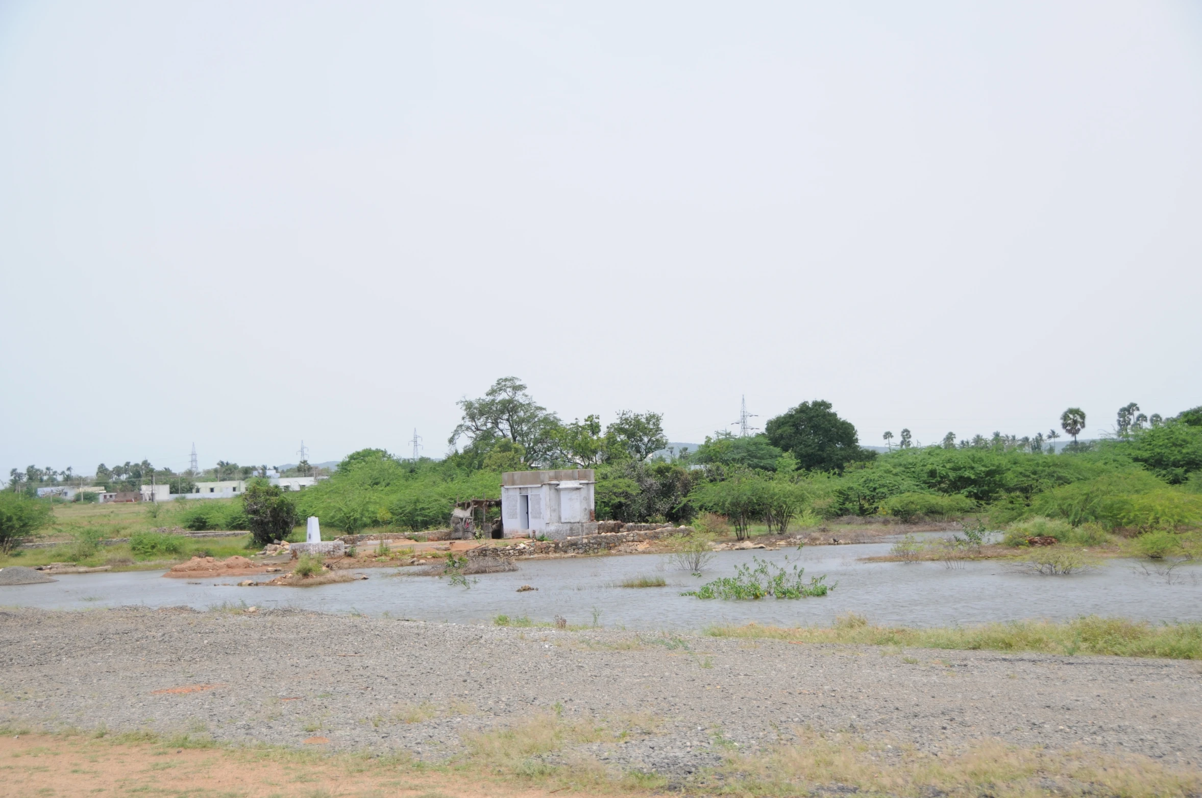 the water and trees are all on the land