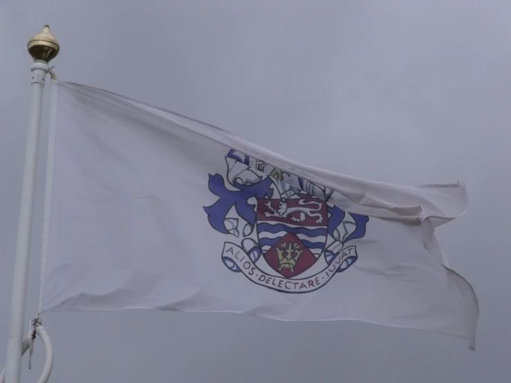 a flag with a coat on it flying high