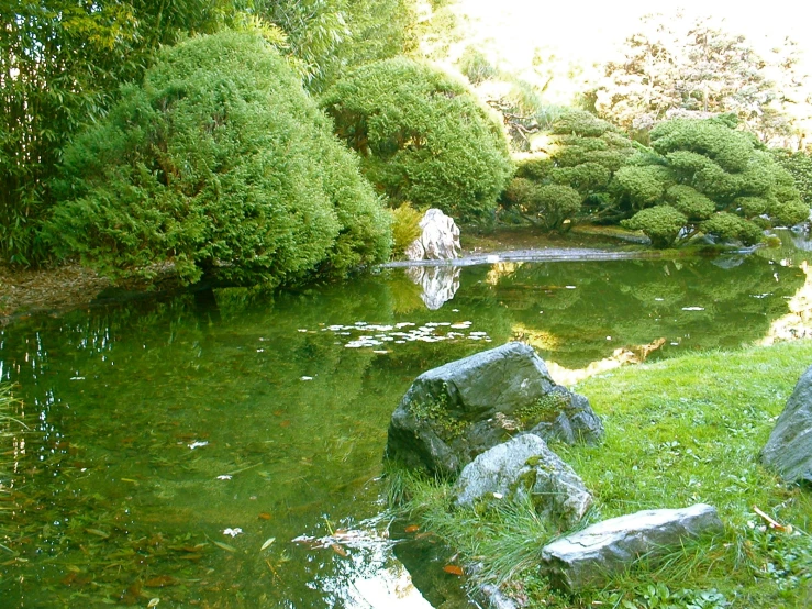 a pond with large rocks and trees around it