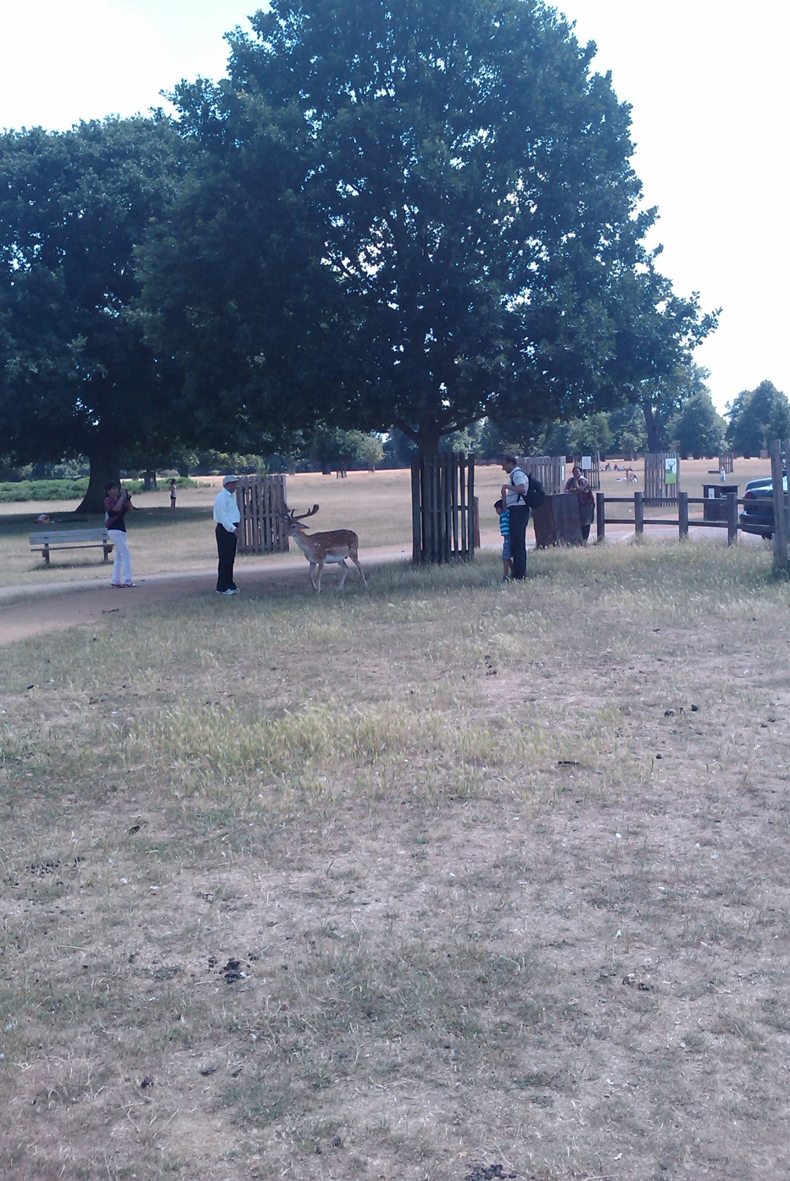 a couple of people standing next to a brown and white dog