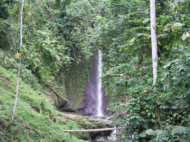 large waterfall and small waterfall in dense forest area