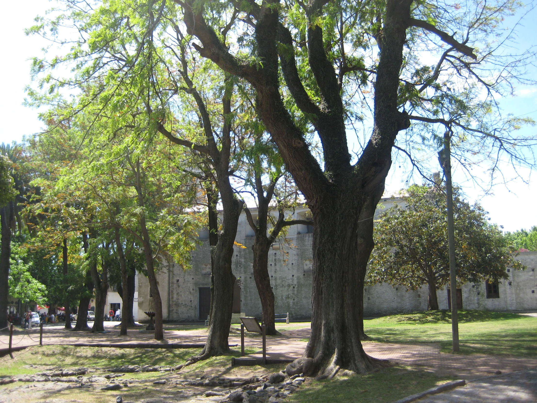 a stone wall with some trees by it