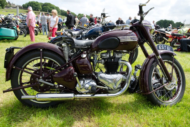 a burgundy motorcycle is parked on the grass