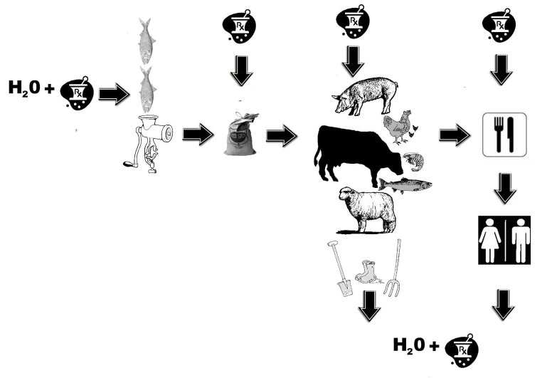 a diagram of how cows are attached to their
