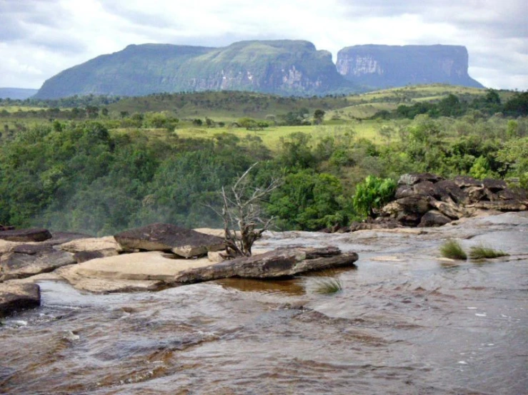 a rocky stream with a lone tree near by