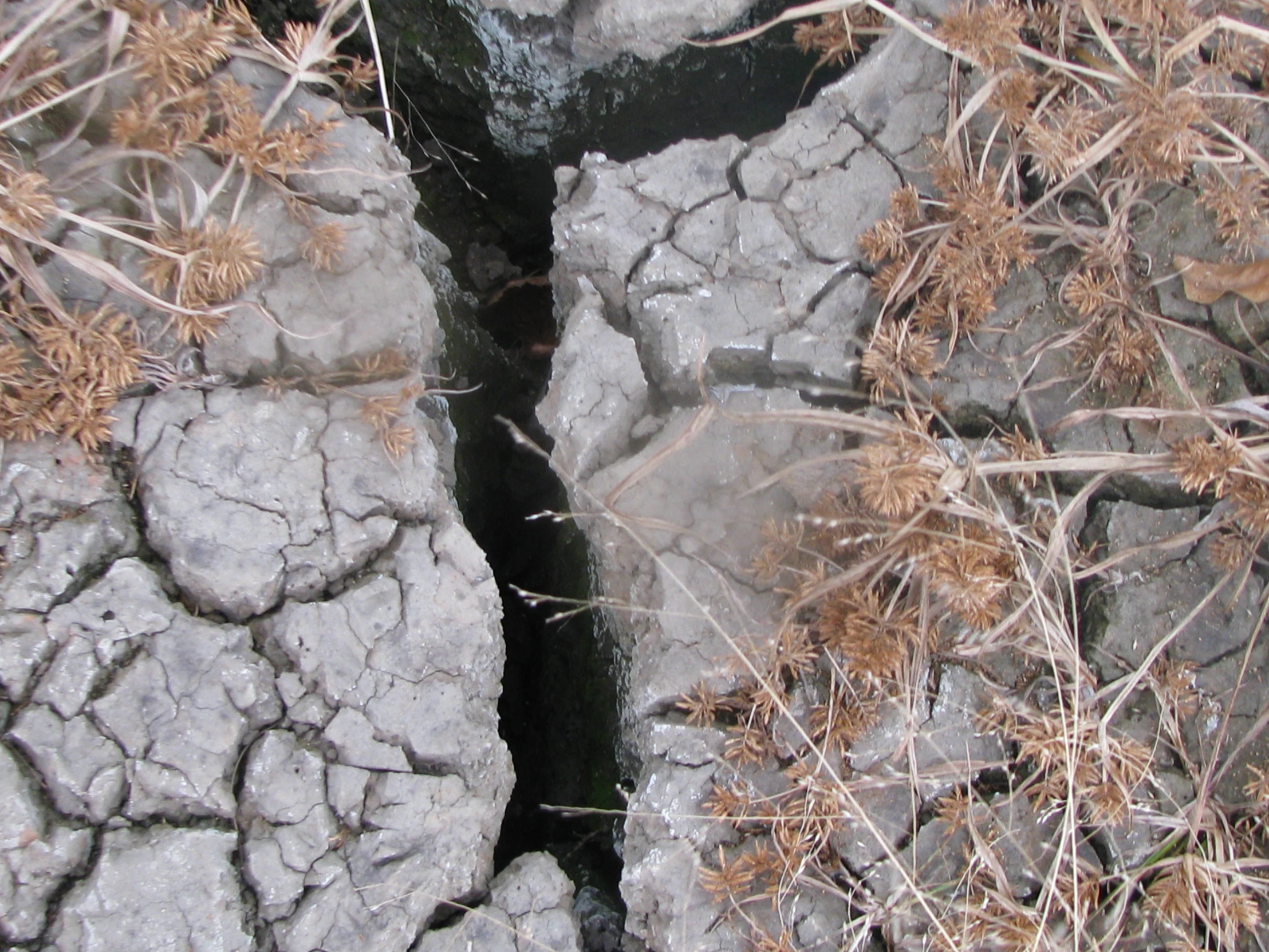 a  in the ground on which there is water in