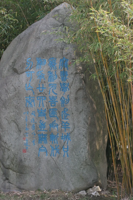 a rock with writing on it sitting next to bamboo