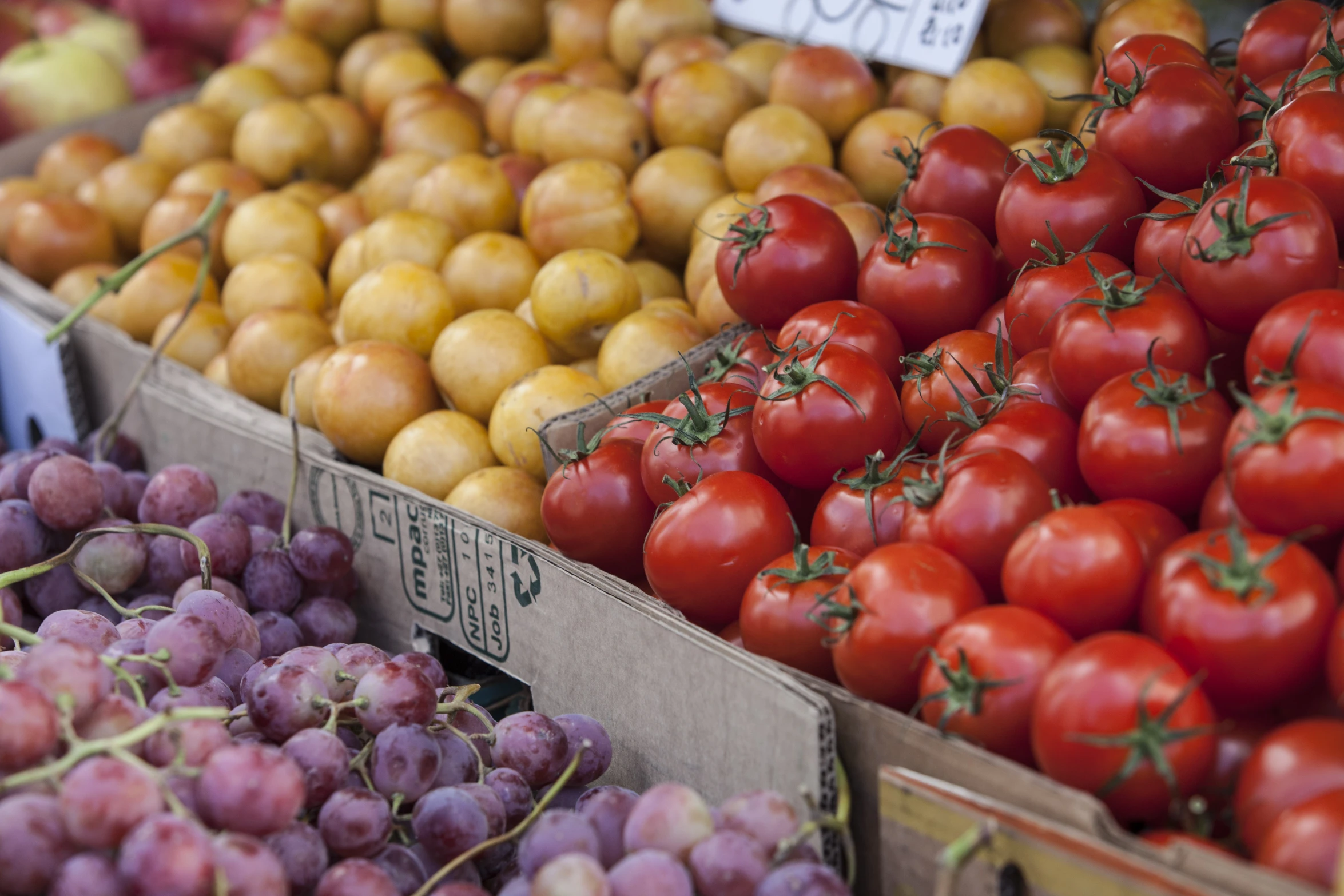 boxes filled with red and yellow produce, including tomatoes, gs, and potatoes