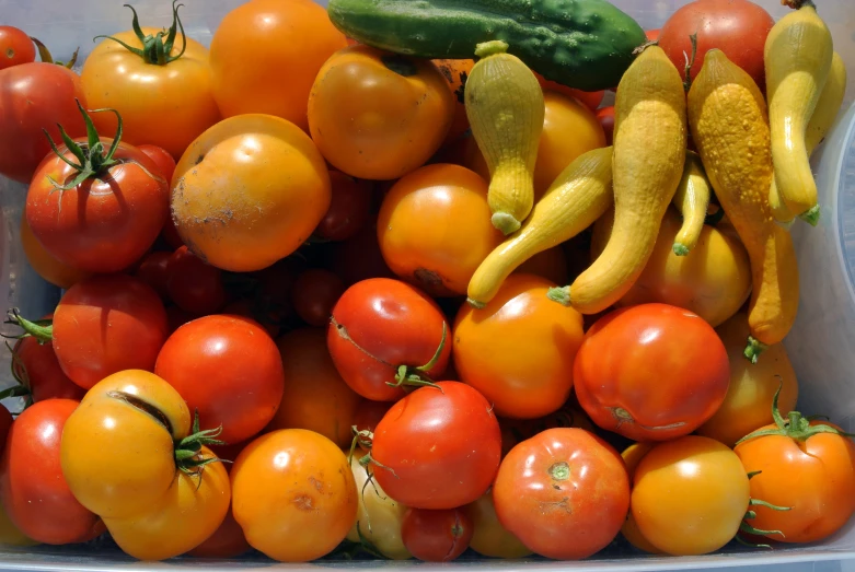 a pile of assorted tomatoes and other vegetables