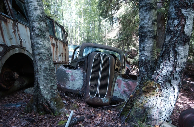 a broken truck is sitting in the woods