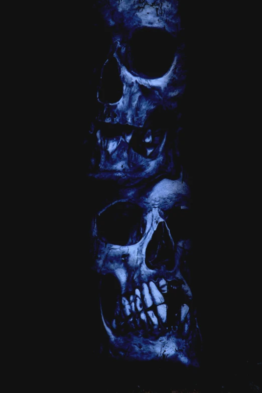 a dark room with three skulls and an image of a person on the floor in front of them