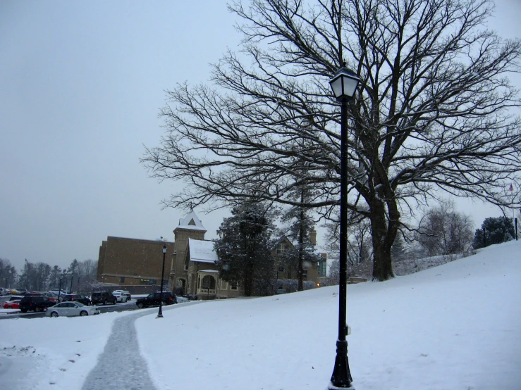 a snow covered street sign by a tree