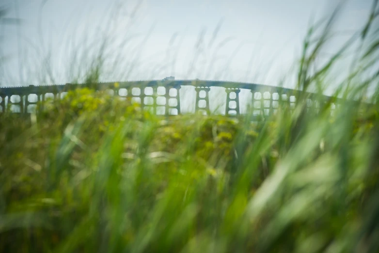 a long bridge spanning over a lush green field