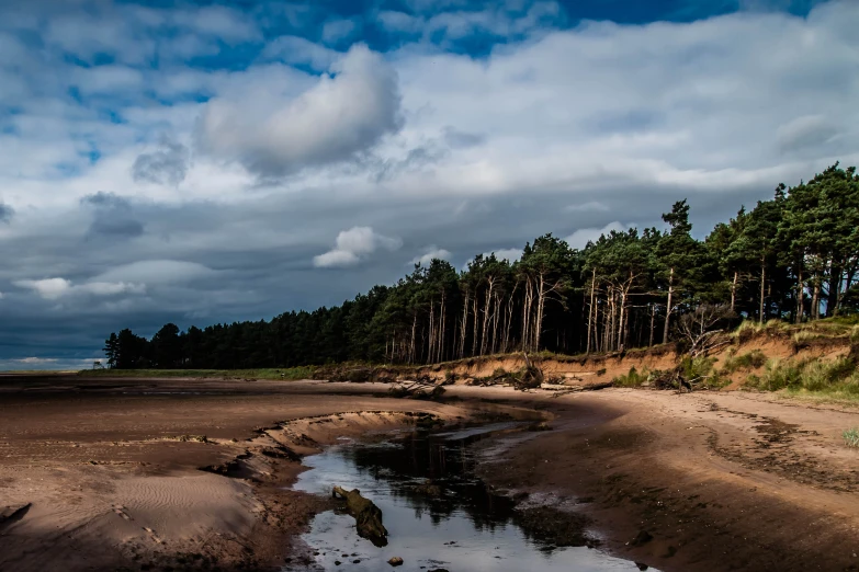 trees on both sides of the edge of a small pond