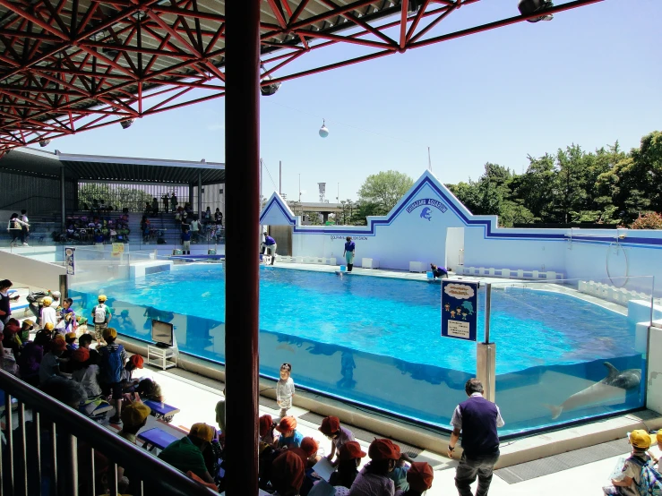 several people standing in a fenced swimming pool