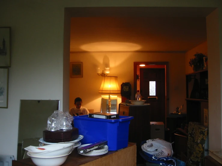 a woman standing in a small house, next to two stacks of food