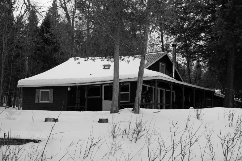 a snowy landscape, trees and buildings are featured in black and white