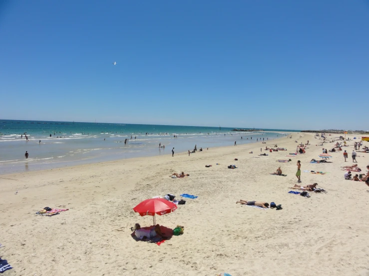 people and umbrellas at the beach on a sunny day