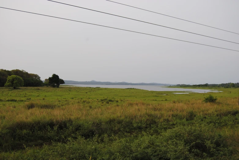 a field near a river and power lines