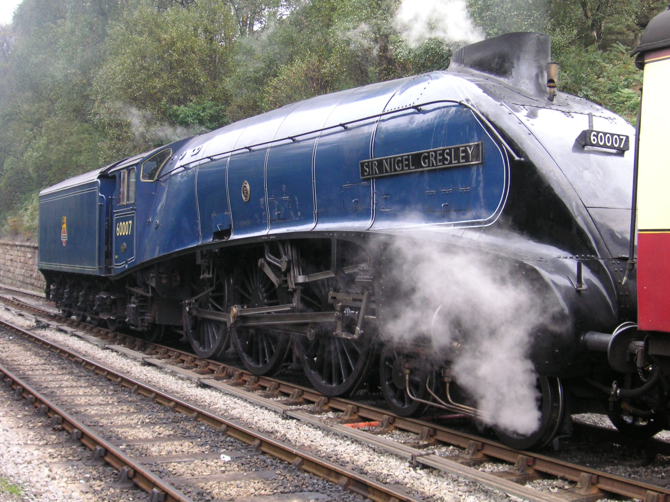 blue and red steam engine on tracks near trees