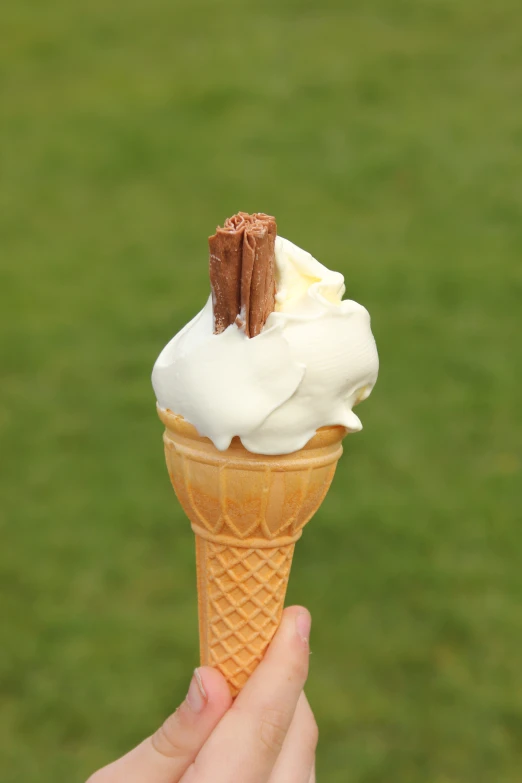 a persons hand holding an ice cream sundae