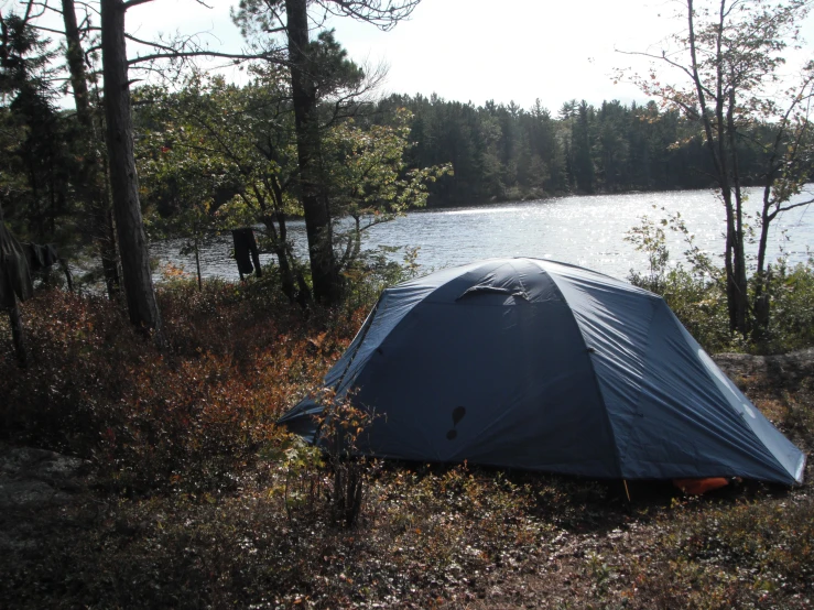 a tent in a field next to a lake