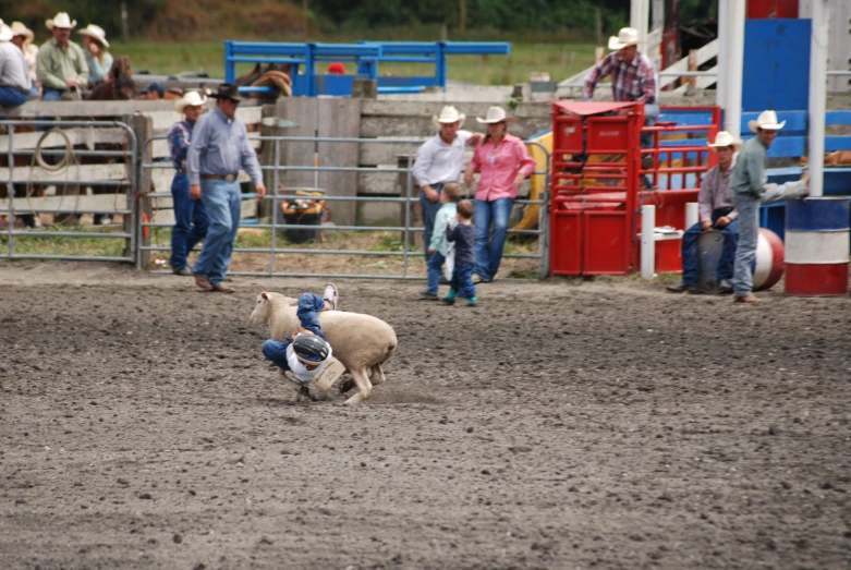 a man riding a white cow in front of people