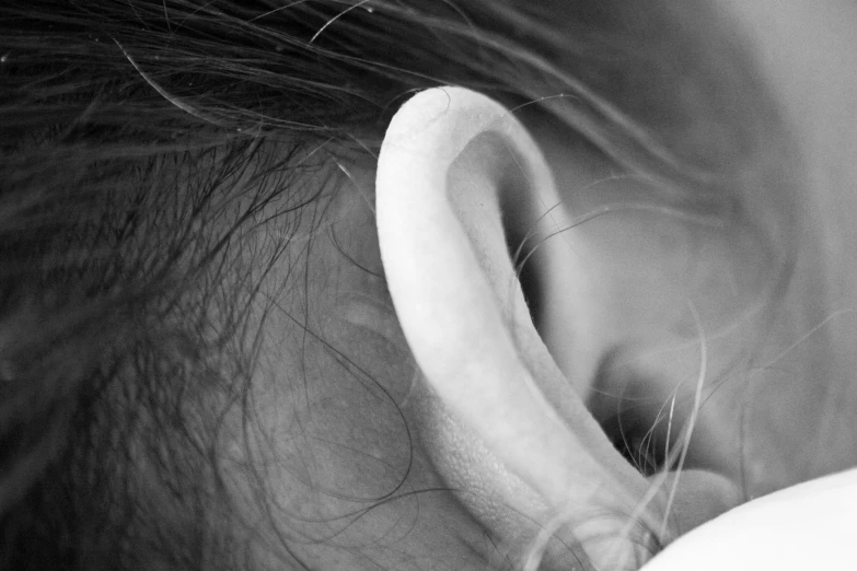 the inside of a person's ear with its nose pierced