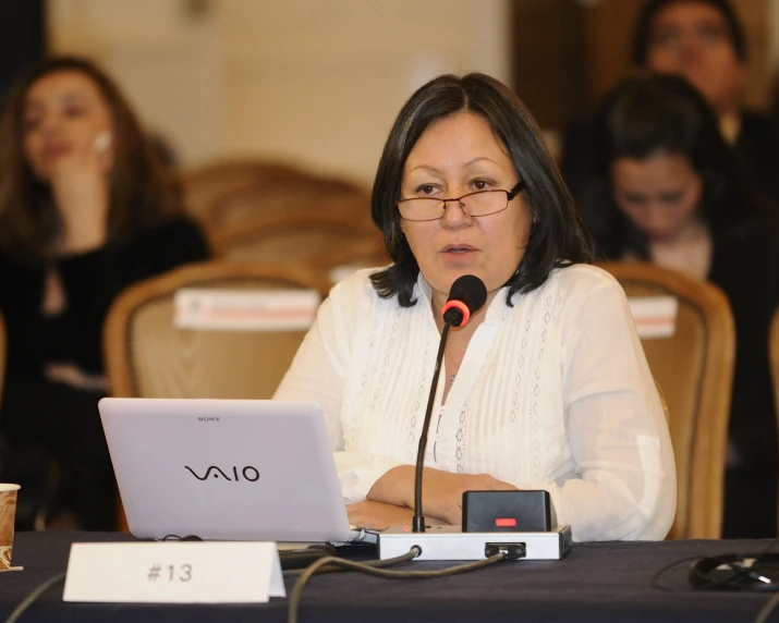 a woman sitting at a desk with a laptop in front of her