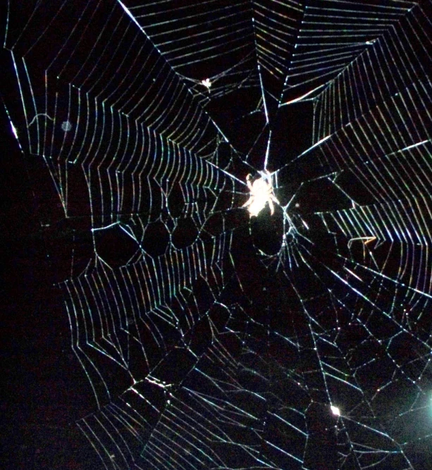a large spiderweb web that is at night