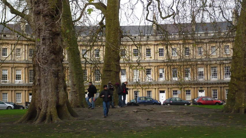 people walking in a line under large trees