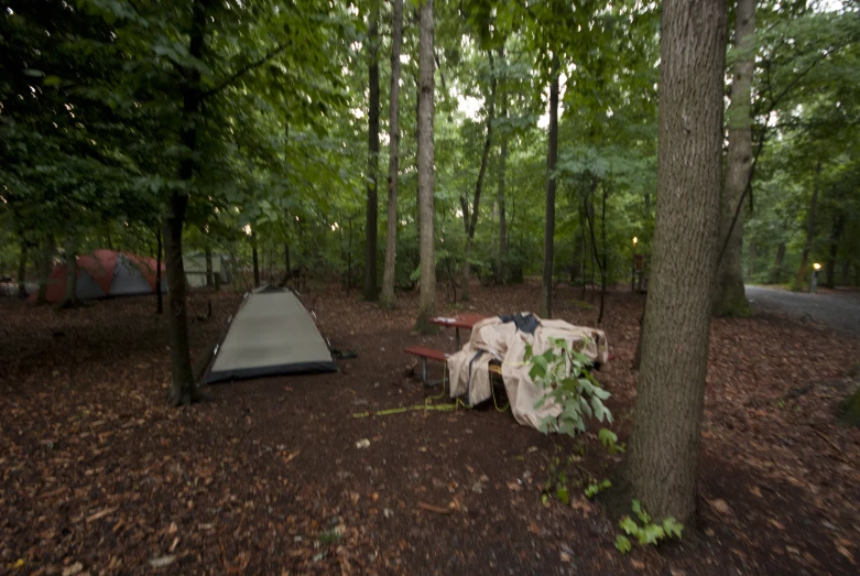 the tent is set up next to the campsite