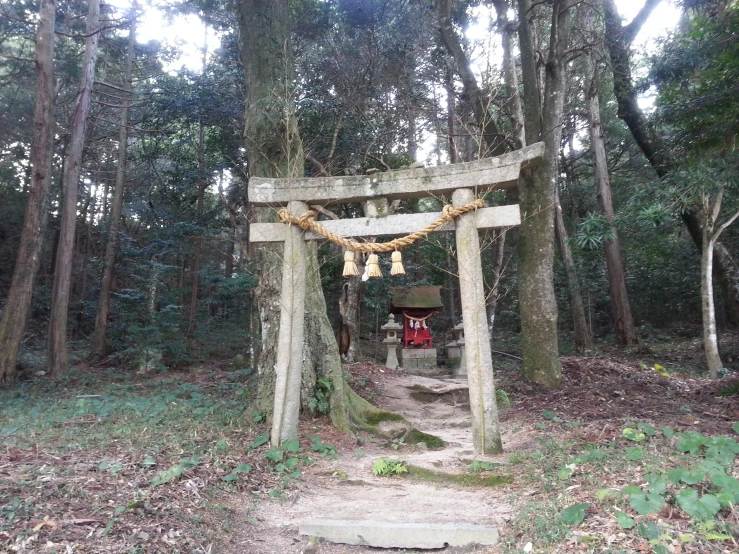a wooden arch is in the middle of a forrest