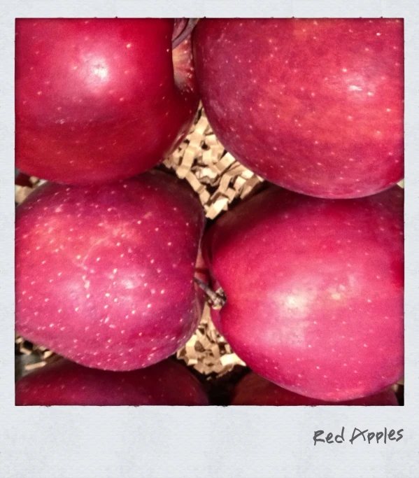 four red apples in a pile one apple has small round holes