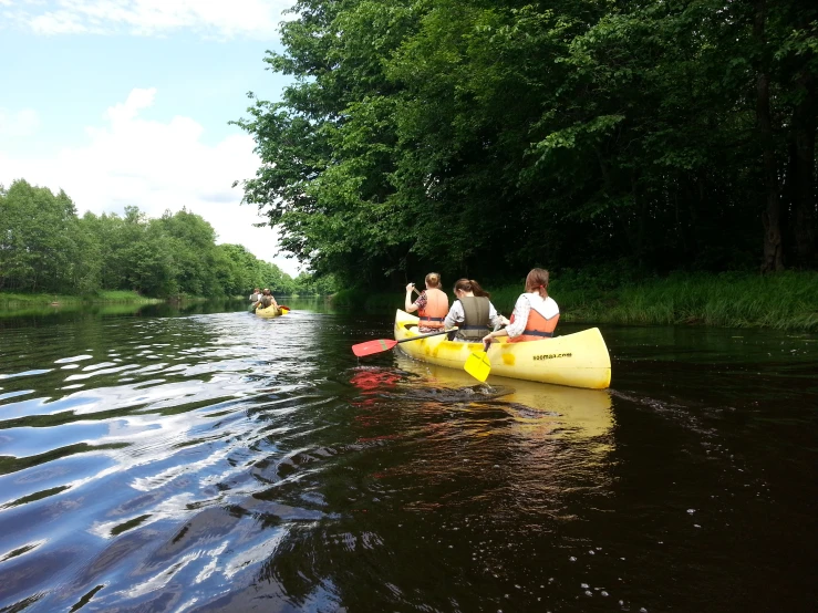 a group of people paddle on canoes along the river