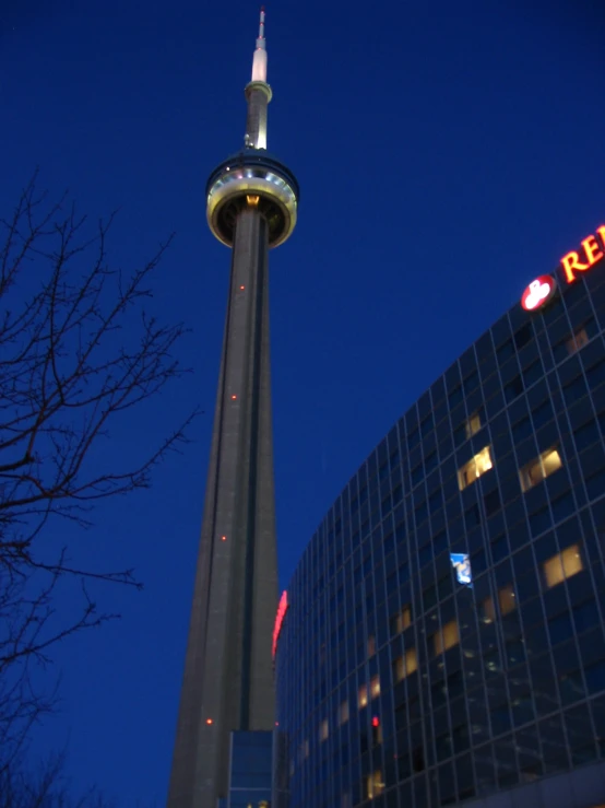 this is the sky tower at night near some buildings