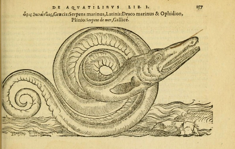 an illustration from a 17th century book showing a very large snake with two legs