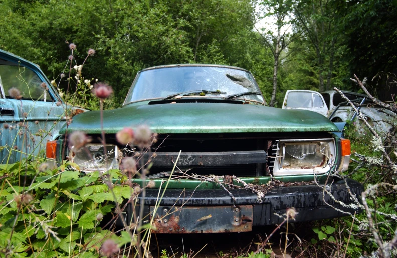 a rusted truck sitting in the middle of the woods